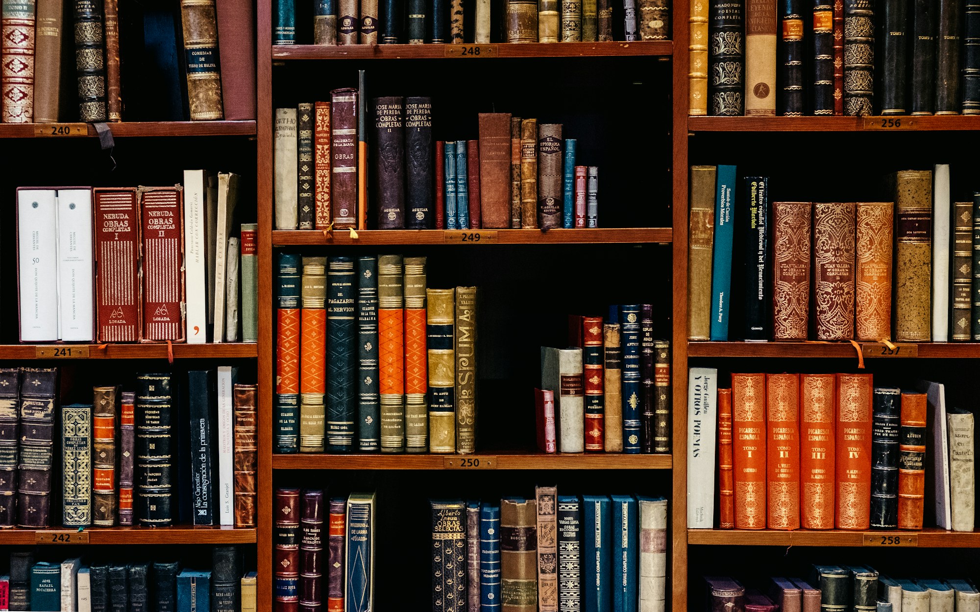Shelves of bound volumes filling a wall from floor to ceiling.